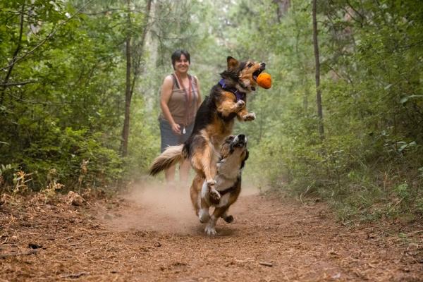 Ruffwear Turnup Toy Campfire Orange Ruffwear Turnup Toy Campfire Orange